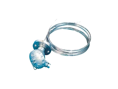 多点防爆热电偶